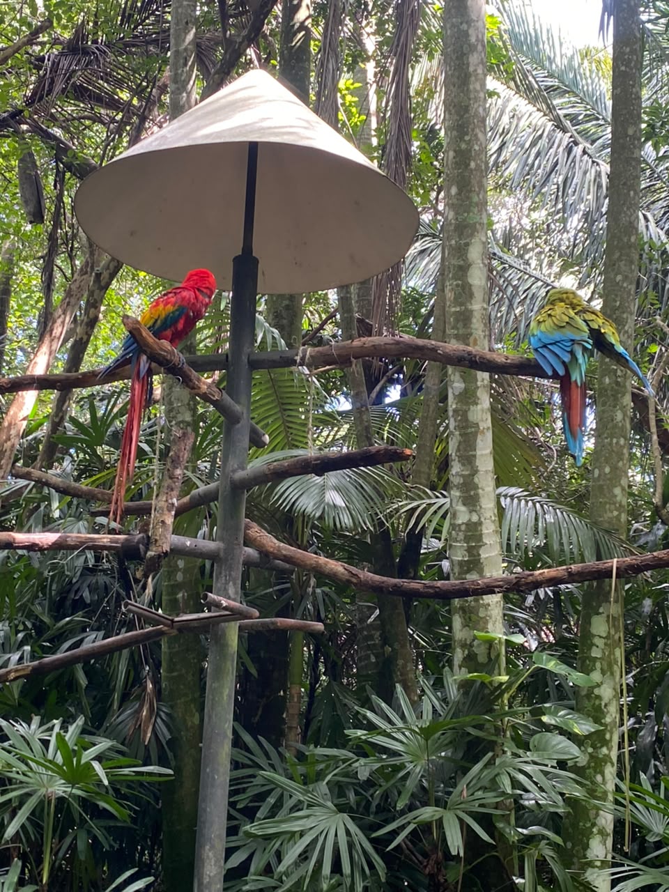 Biodiversity and Wildlife
